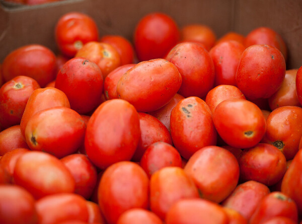Крупные и сладкие: туркменские помидоры завоевывают рынки стран Содружества