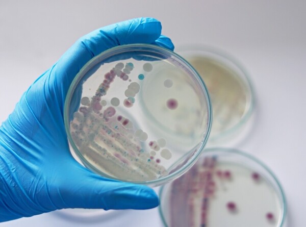 Ученые заявили о распространении смертельно опасной бактерии из-за потепления