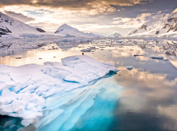 Потерю льда в самым уязвимом регионе Антарктиды оценили в 3000 млрд тонн