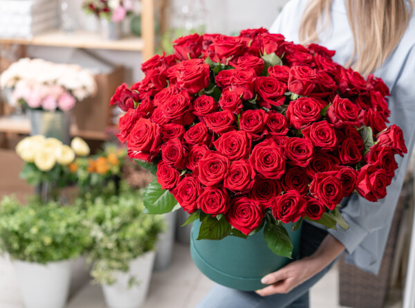Миллион алых роз: в Петербурге выращивают десятки голландских сортов на любой вкус и цвет