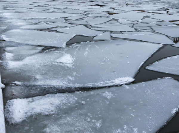 Пятеро дачников провалились под лед в Ярославской области, спасен один