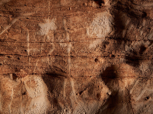 Серию уникальных доисторических рисунков нашли в пещере Каталонии