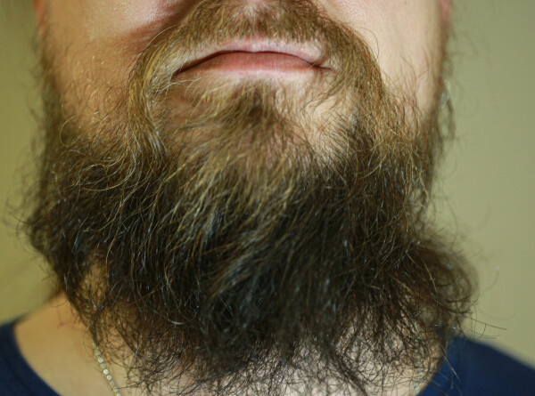 Житель Канады отрастил бороду длиной более 2,5 метра