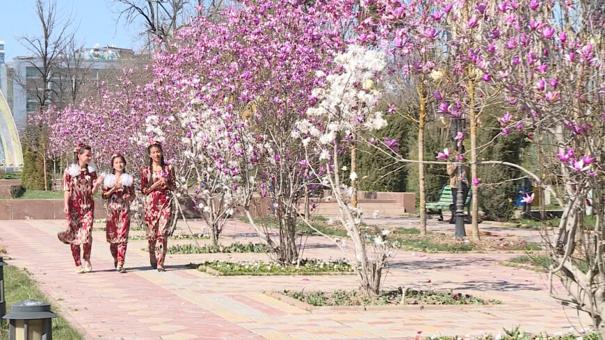 Любимое время года: как встречают весну в Таджикистане?