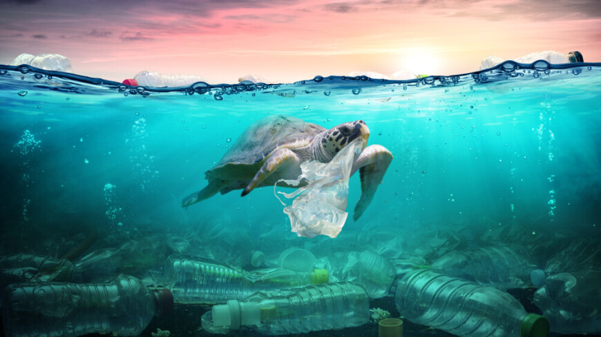 Количество пластика в Мировом океане оценили в 171 триллион частиц