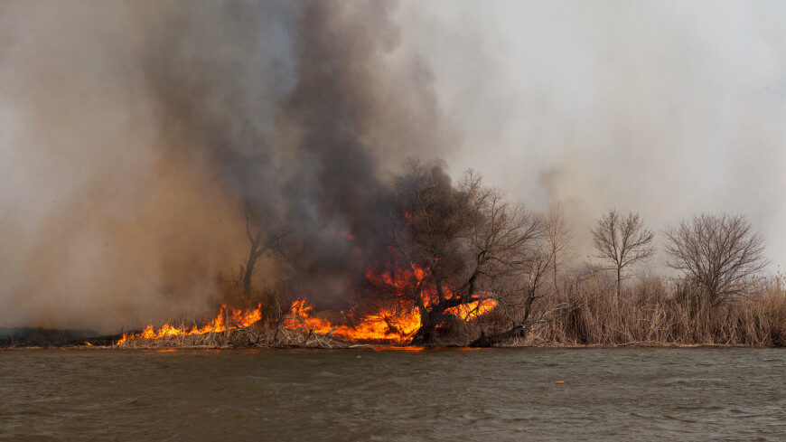 Масштабный пожар возник на одном из островов в Астраханском заповеднике
