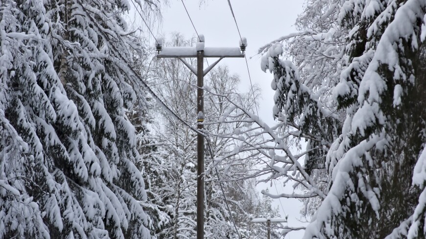 Ветер и мокрый снег оставили без света около 35 тысяч жителей Ростовской области