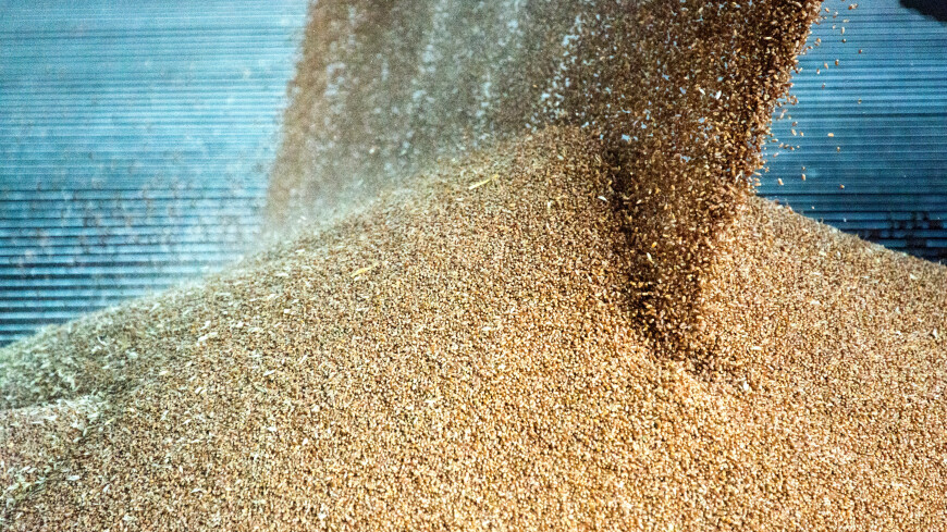 Татарстан запланировал увеличить мощности элеваторов на 200 тысяч тонн зерна