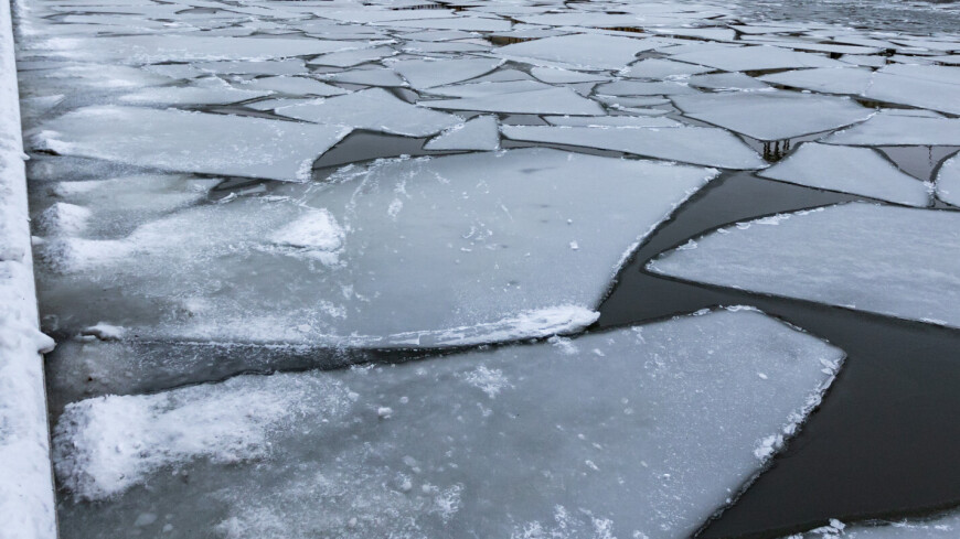 Пятеро дачников провалились под лед в Ярославской области, спасен один
