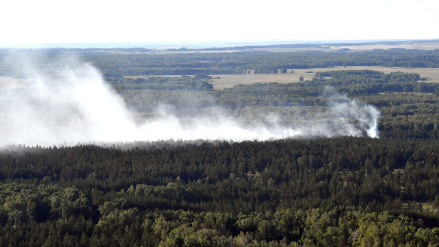 лесной пожар, лесные пожары в Челябинской области, Челябинская область, Челябинские пожары, лес горит