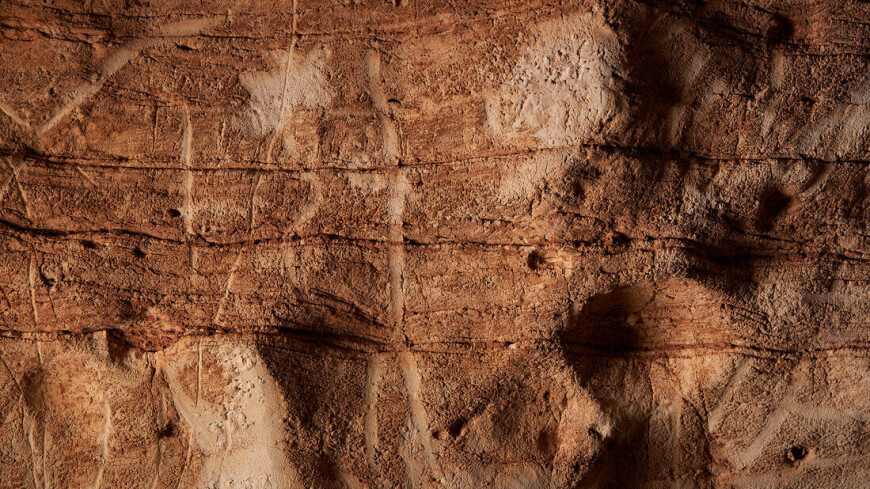 Серию уникальных доисторических рисунков нашли в пещере Каталонии