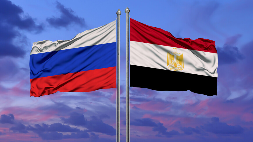Президент Египта и вице-премьер России обсудили строительство АЭС и создание зоны свободной торговли