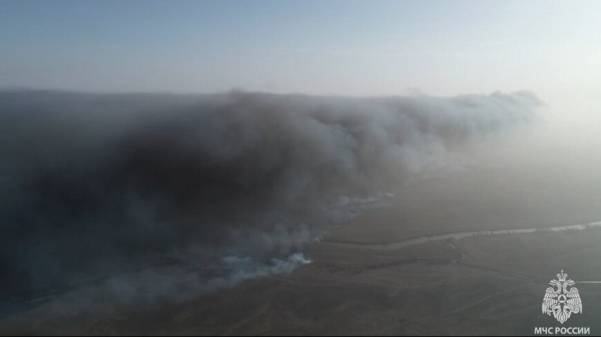 Площадь пожара в Астраханском заповеднике выросла до девяти тысяч гектаров