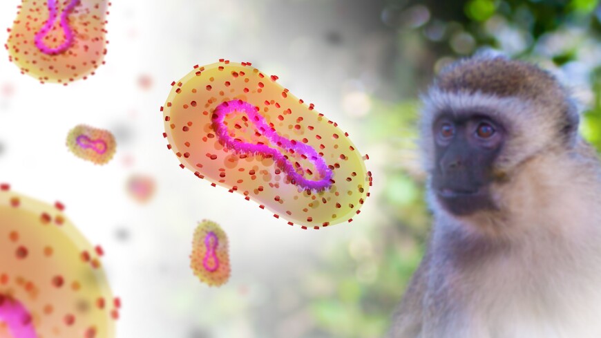 На Тайване выявили четыре случая оспы обезьян и начали вакцинацию