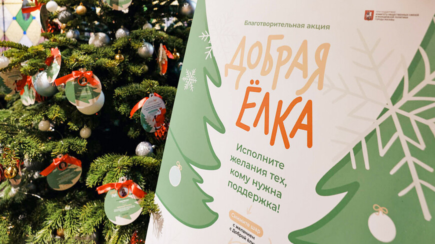 В рамках акции «Добрая елка» москвичи исполнили более тысячи желаний детей и взрослых