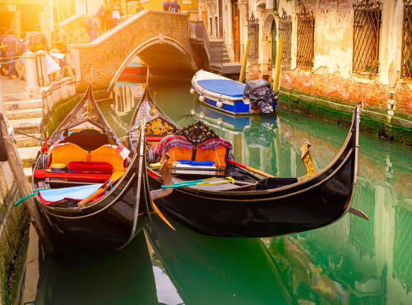 Полиция выяснила, почему Гранд-канал в Венеции стал ядовито-зеленым