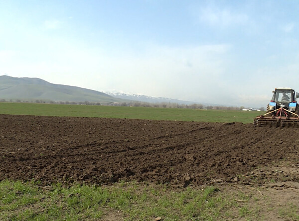 В Кыргызстане увеличили площадь посевов, сделав упор на зерновые