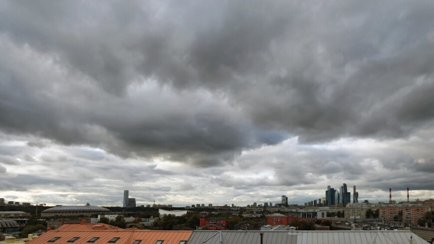 «Желтый» уровень погодной опасности объявлен в Москве из-за ветра