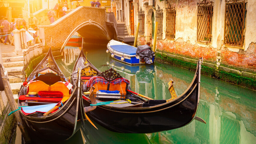 Гранд-канал Венеции окрасился в ядовито-зеленый цвет