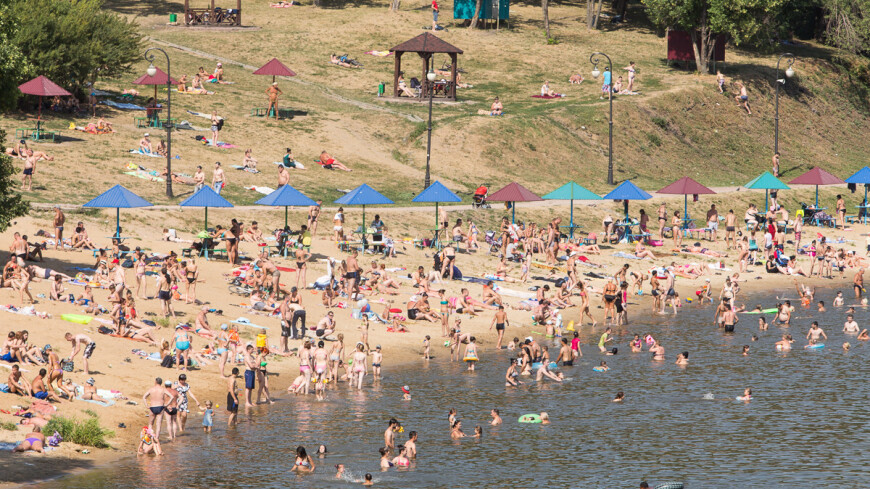 © Фото: &quot;Максим Кулачков, «Мир 24»&quot;:http://mir24.tv/, купание, жара, пляж