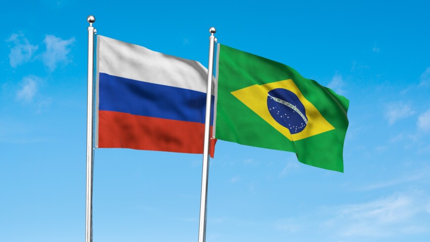 Путин считает перспективным переход на расчеты в нацвалютах с Бразилией