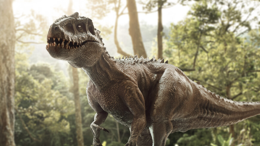 Названо общее количество живших на Земле тираннозавров
