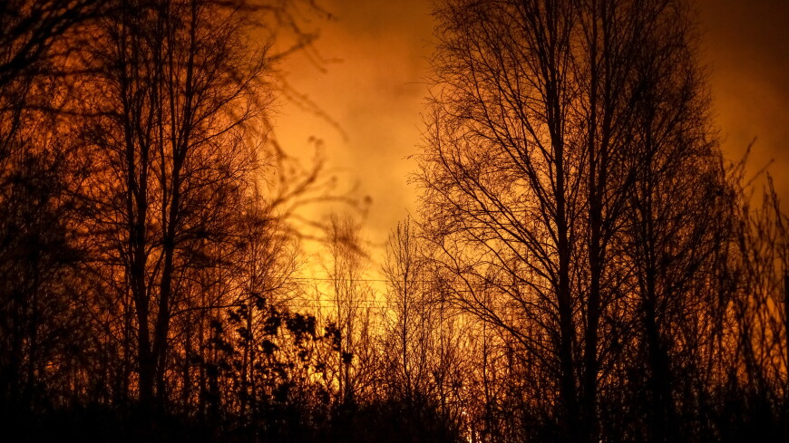 Режим ЧС введен в Хабаровском крае из-за природных пожаров