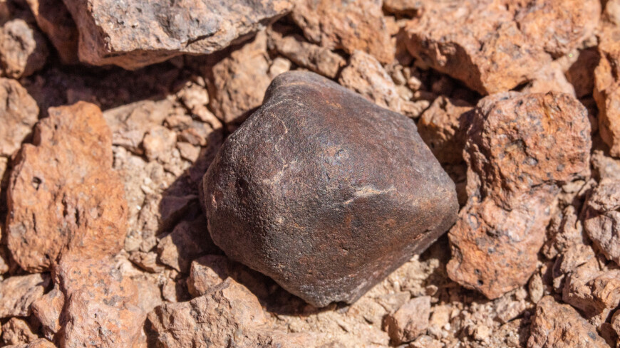 Немец нашел в своем саду булыжник, который оказался метеоритом