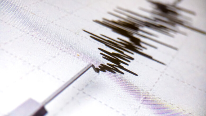 Землетрясение магнитудой 3,6 произошло у побережья Камчатки