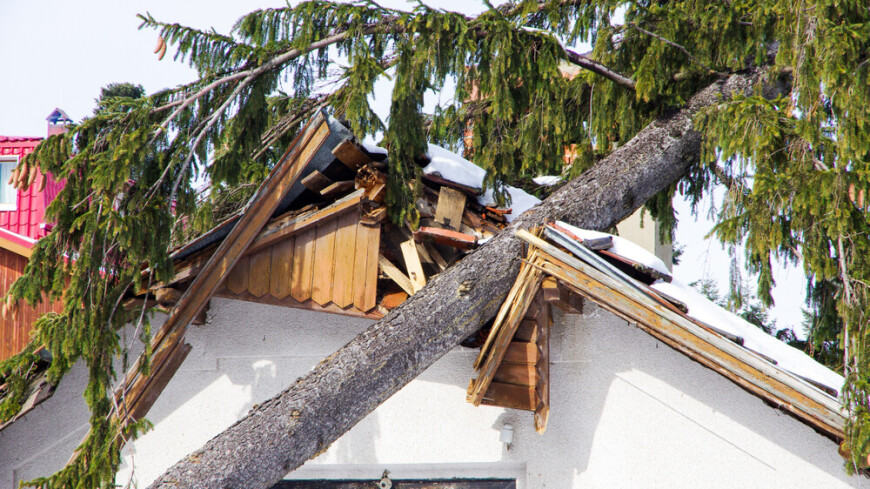Ураган в Казахстане сорвал крыши с домов и повалил деревья