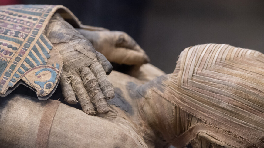 Крупнейшие мастерские по мумификации обнаружили в Египте