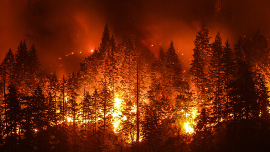 Лесной пожар в Пермском крае превысил площадь в 80 га