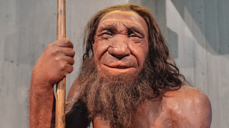 Форма носа была унаследована людьми от неандертальцев
