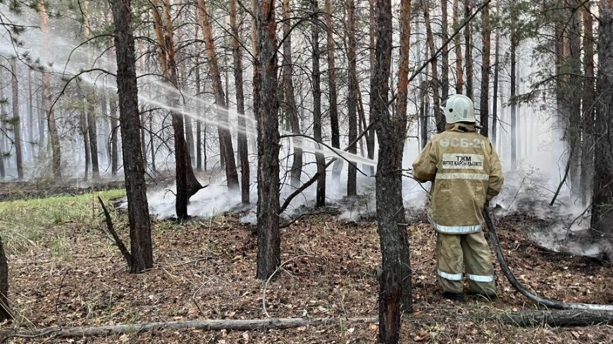 Локализован природный пожар в Абайской области Казахстана