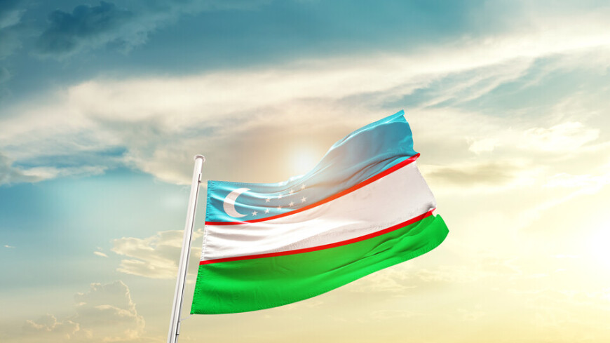 Выборы президента в Узбекистане: ЦИК страны образовал 14 избирательных округов