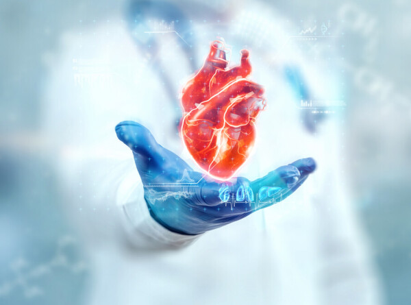 Лечение сердца с помощью трехмерной модели разработали минские кардиологи