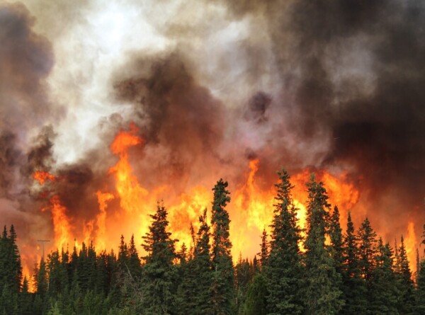 Более 30 природных пожаров потушили за сутки в России