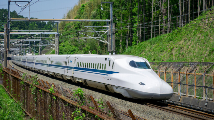 Матч по реслингу среди пенсионеров прошел в японском скоростном поезде