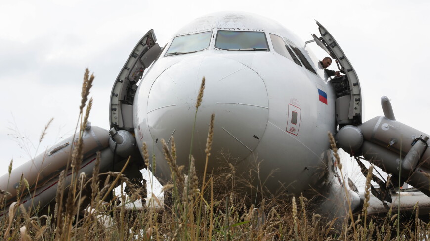 Названы способы эвакуации севшего на пшеничное поле под Новосибирском самолета