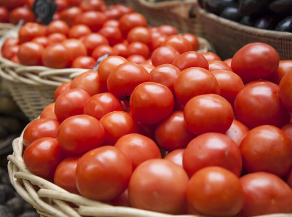 В чем секрет насыщенного вкуса томатов с полей в пригороде Чегема?
