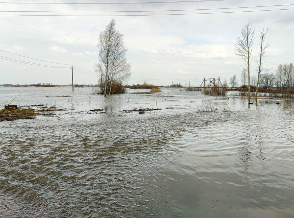 Уровень реки Ишим у села Абатское преодолел историческую отметку в 12 метров