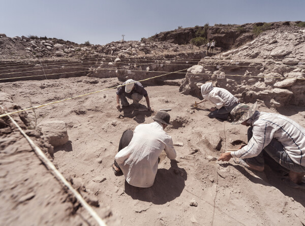 Останки «карликового» титанозавра обнаружили в Аргентине