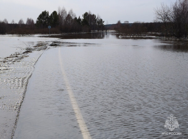 Уровень реки Обь у города Колпашево за сутки вырос почти на метр