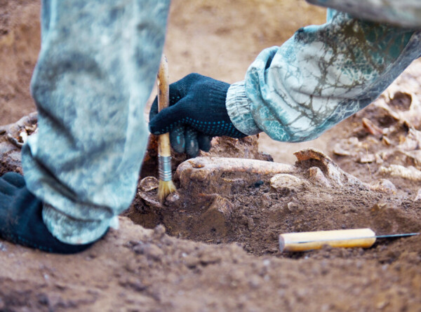 Захоронение «зомби» возрастом 4200 лет нашли в Германии