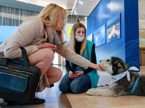 В аэропорт Красноярска вернулись &laquo;собаки эмоциональной поддержки&raquo;