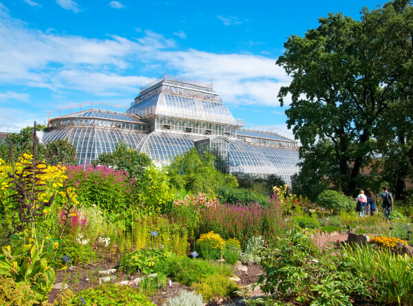 Ботанический сад Петербурга отметил 310-летие