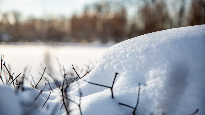 парк в Измайлово зимой,  кусты, снег, сугроб