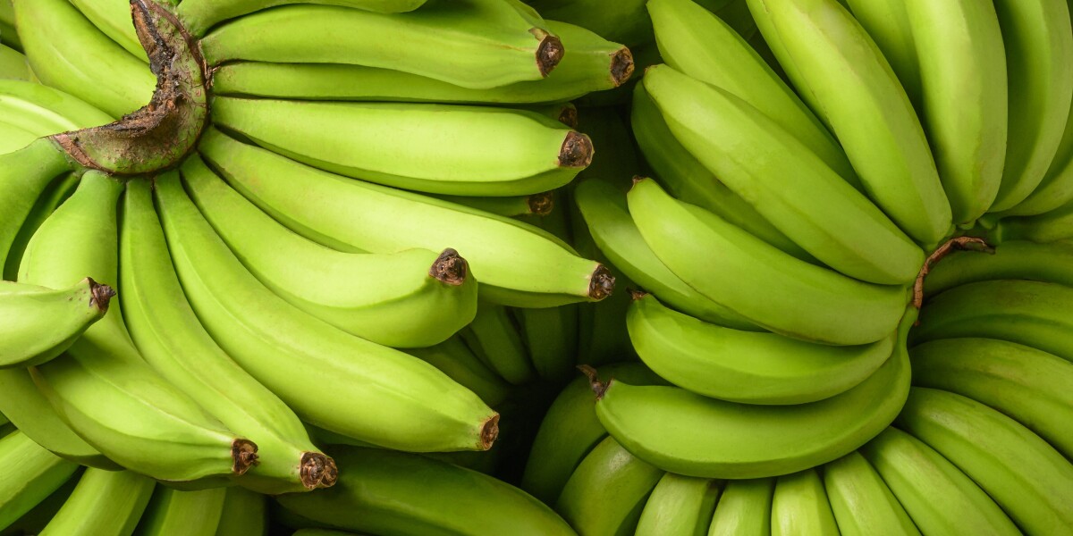 Какие бананы полезнее зеленые или. Банан. Индийские бананы. Бананы в Индии. Банан венгалби.