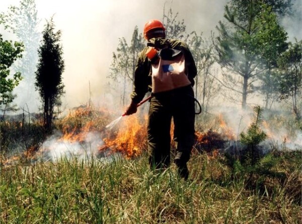 Природные пожары в России: с огнем борются в 22 регионах