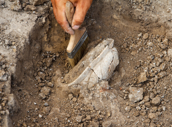 Захоронение с погребальными дарами нашли в мавзолее Цербера в Италии